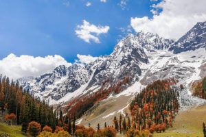 Best Destinations to Visit in Summer in India